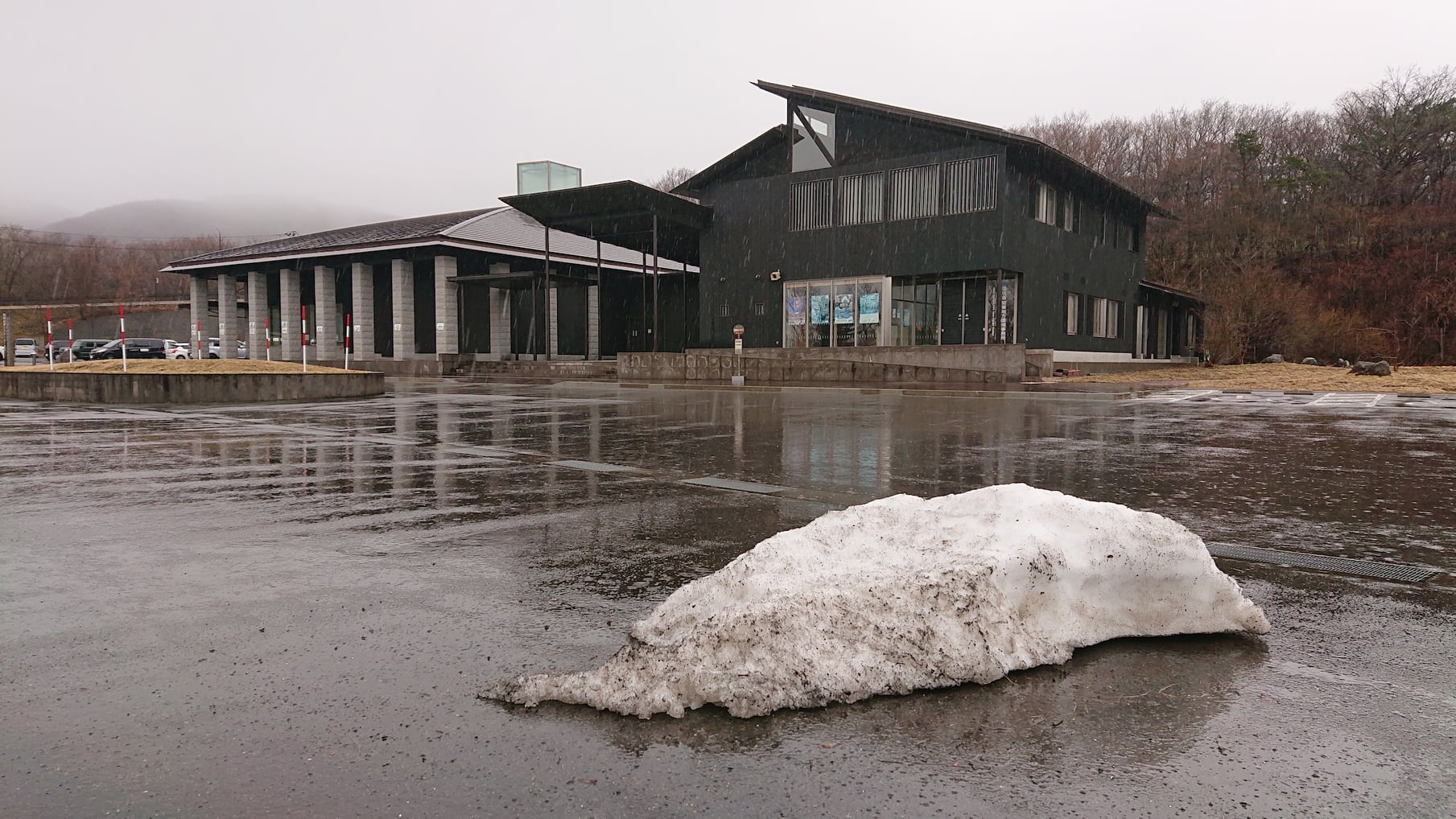 雪が無い 雨は土砂降り 那須avsar講習会 雪崩事故防止研究会 Assh